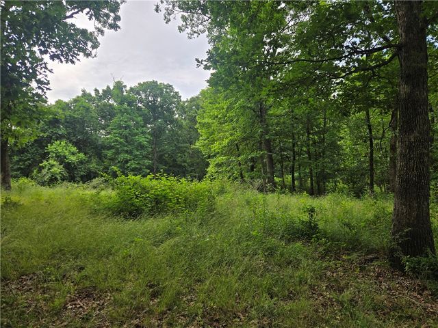 17681 Peterson Road, Gentry, AR 72734