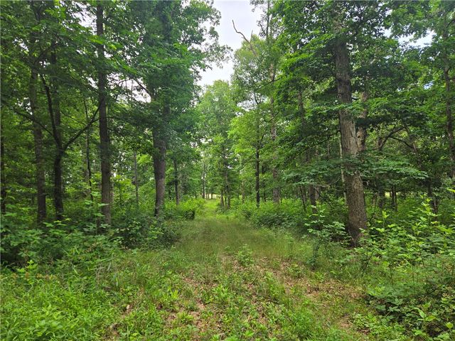 17681 Peterson Road, Gentry, AR 72734
