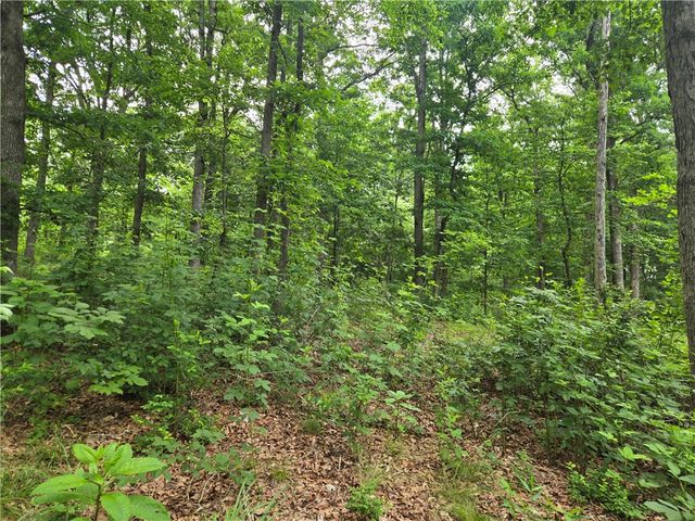 17681 Peterson Road, Gentry, AR 72734