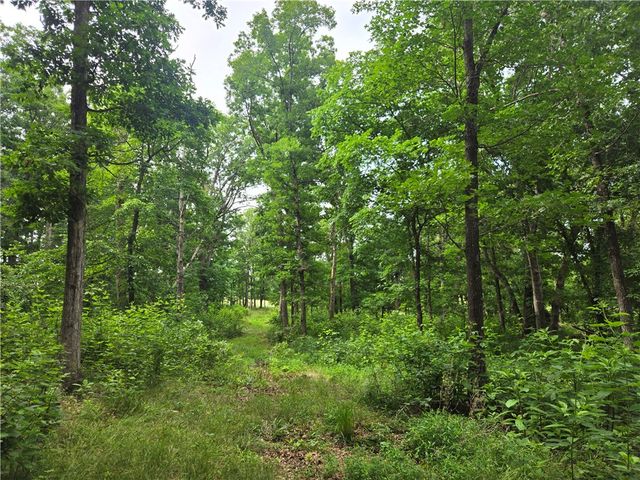17681 Peterson Road, Gentry, AR 72734