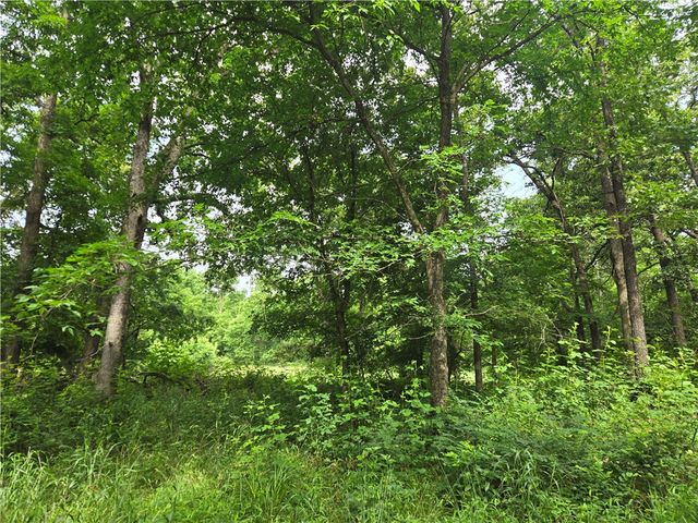 17681 Peterson Road, Gentry, AR 72734