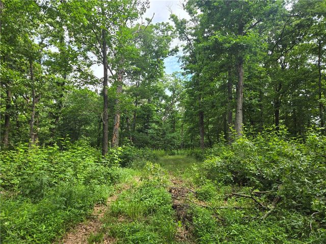 17681 Peterson Road, Gentry, AR 72734