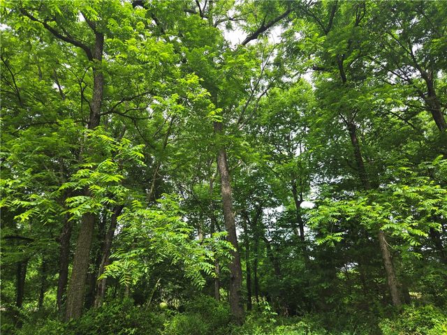 17681 Peterson Road, Gentry, AR 72734