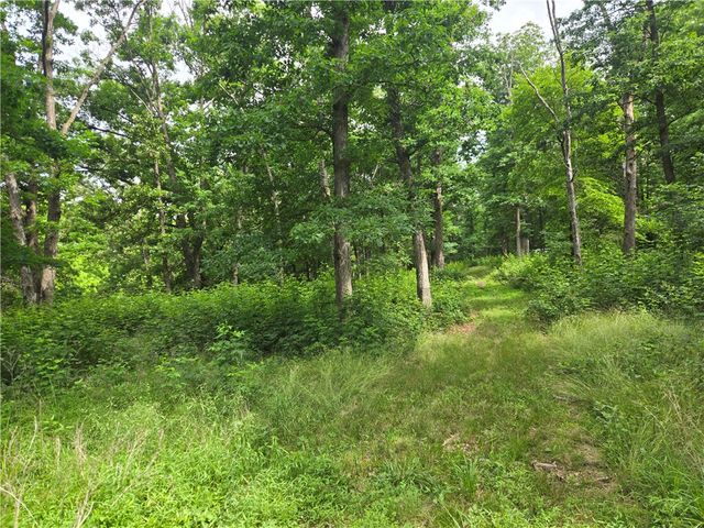 17681 Peterson Road, Gentry, AR 72734