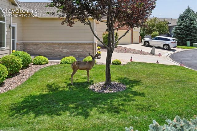 6240 Viewfield Heights, Colorado Springs, CO 80919