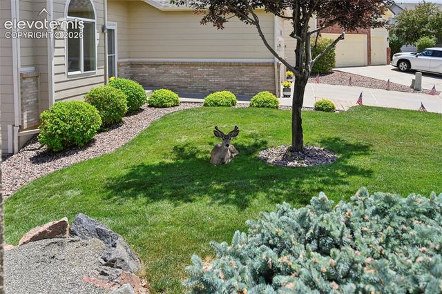 6240 Viewfield Heights, Colorado Springs, CO 80919