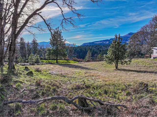 1170 Sw THORNTON Dr, White Salmon, WA 98672