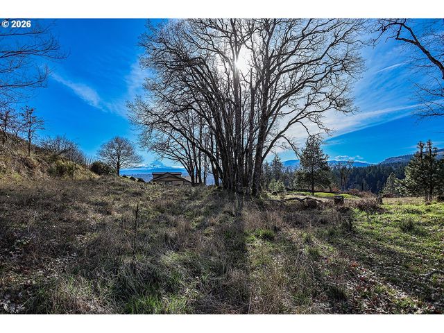 1170 Sw THORNTON Dr, White Salmon, WA 98672