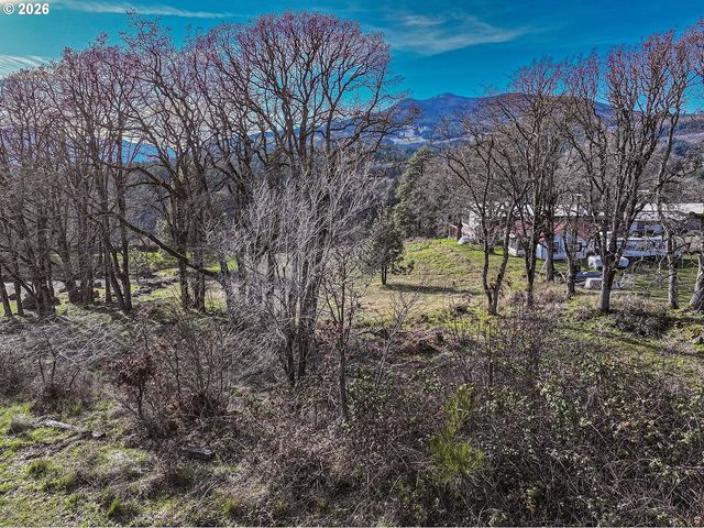 1170 Sw THORNTON Dr, White Salmon, WA 98672