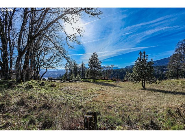 1170 Sw THORNTON Dr, White Salmon, WA 98672