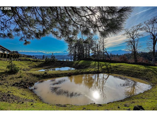 1170 Sw THORNTON Dr, White Salmon, WA 98672