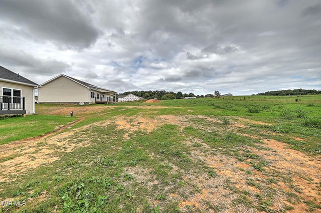 185 Red Tail Ridge, Greeneville, TN 37743