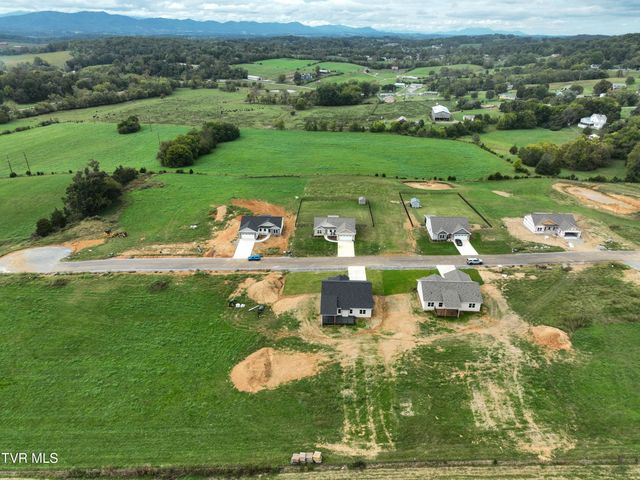 185 Red Tail Ridge, Greeneville, TN 37743