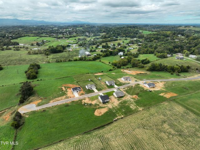 185 Red Tail Ridge, Greeneville, TN 37743