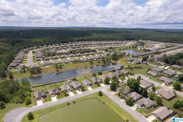 3012 HIDDEN FOREST COVE, Montevallo, AL 35115