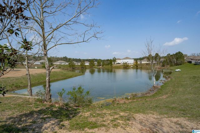 3012 HIDDEN FOREST COVE, Montevallo, AL 35115