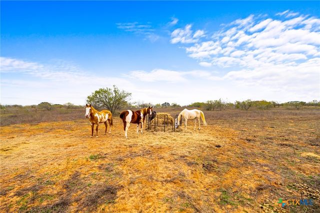 1145 Postert Lane, Floresville, TX 78114