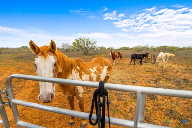 1145 Postert Lane, Floresville, TX 78114