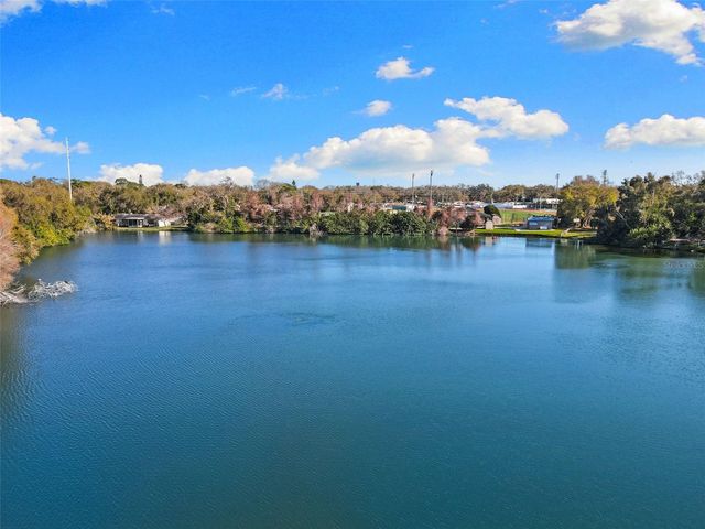 10274 BLOSSOM TRAIL, Seminole, FL 33772