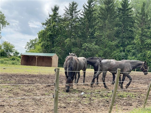 11159 State Route 34, Cato, NY 13033