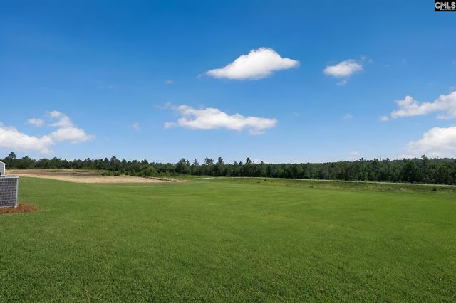 440 Happy Hollow Drive, Gaston, SC 29053