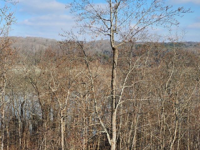 466 Colson Cove Drive, Bronston, KY 42518