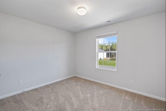 211 Hallwood Drive, Pikeville, NC 27863