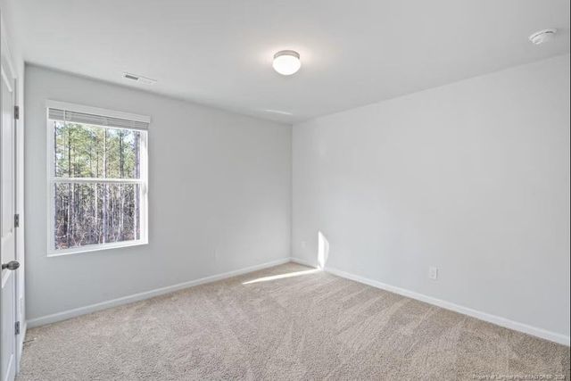 211 Hallwood Drive, Pikeville, NC 27863