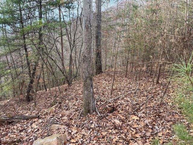 300 Jernigan Court, Murphy, NC 28906