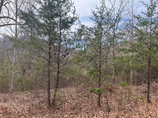 300 Jernigan Court, Murphy, NC 28906
