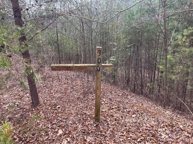 300 Jernigan Court, Murphy, NC 28906