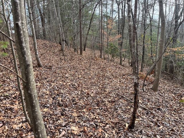 300 Jernigan Court, Murphy, NC 28906