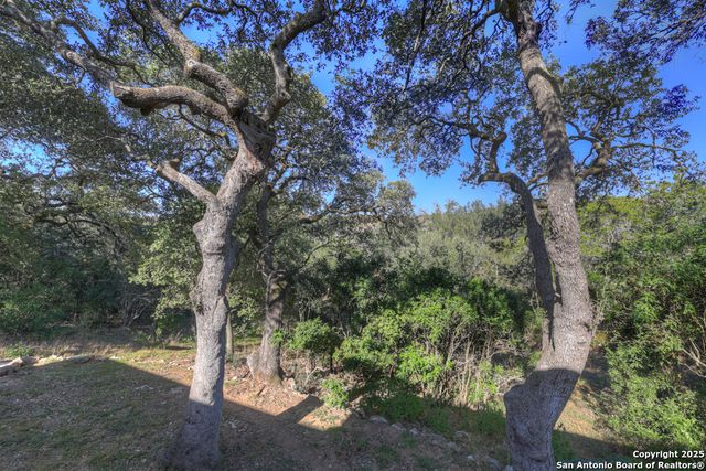 509 Moonlight Circle, New Braunfels, TX 78132