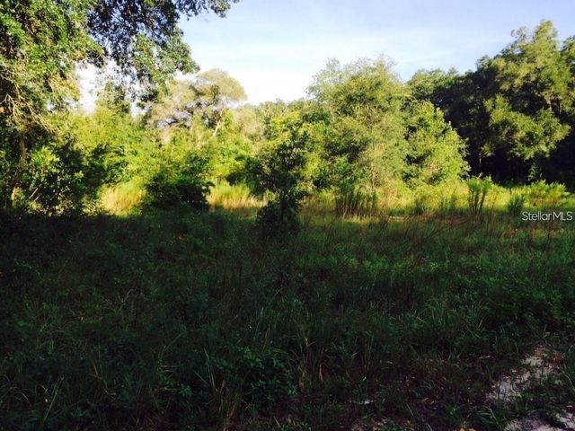 111 FREDERICK STREET, Interlachen, FL 32148