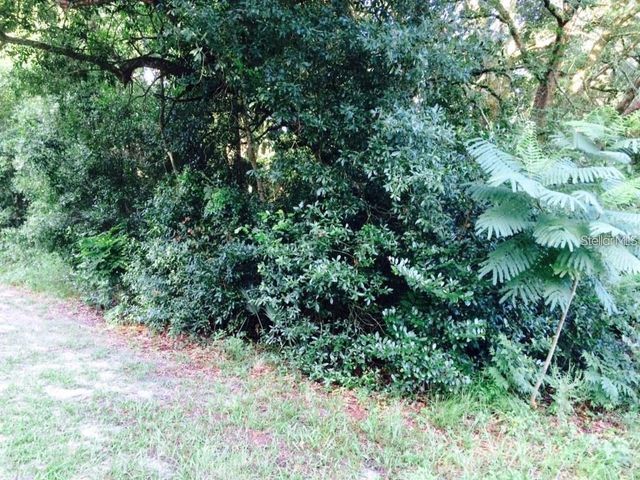 111 FREDERICK STREET, Interlachen, FL 32148