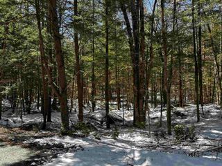 118 Pauls Place # 118, Enfield, NH 03748