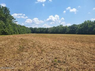 1604 N Old Canton Road, Canton, MS 39046
