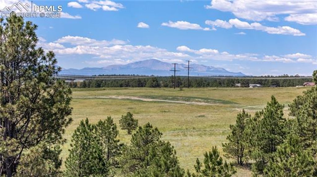 10958 Alamar Way, Colorado Springs, CO 80908 — photo 5