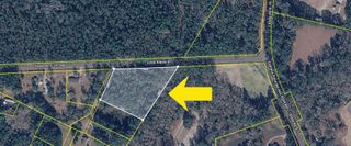 0 Little Elbow Drive, Walterboro, SC 29488