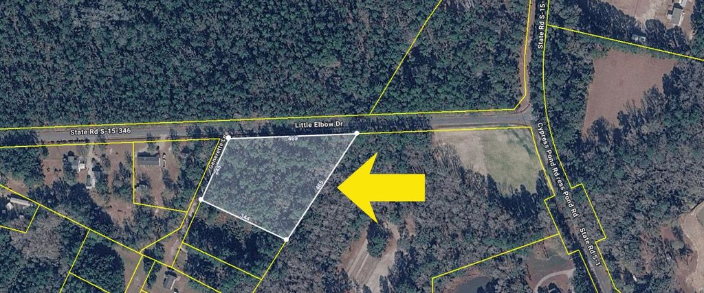 0 Little Elbow Drive, Walterboro, SC 29488