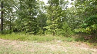 1173 Emory Creek Boulevard, Branson, MO 65616