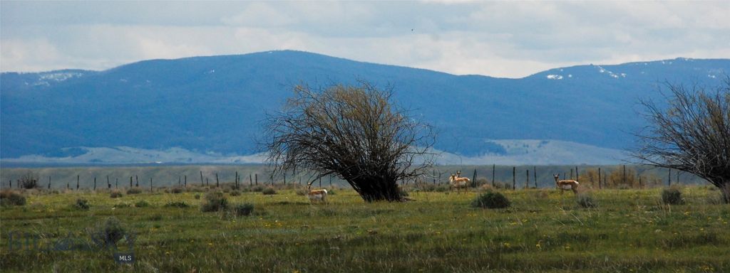 6800 Mussigbrod Lake Road, Wisdom, MT 59761 photo 35