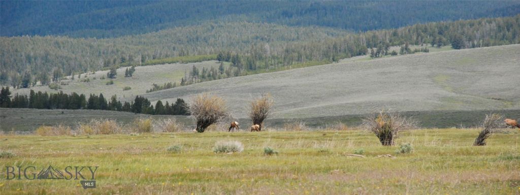 6800 Mussigbrod Lake Road, Wisdom, MT 59761 photo 40