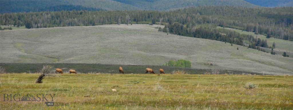 6800 Mussigbrod Lake Road, Wisdom, MT 59761 photo 41