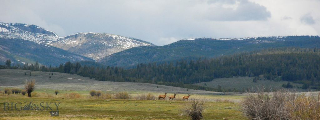6800 Mussigbrod Lake Road, Wisdom, MT 59761 photo 43