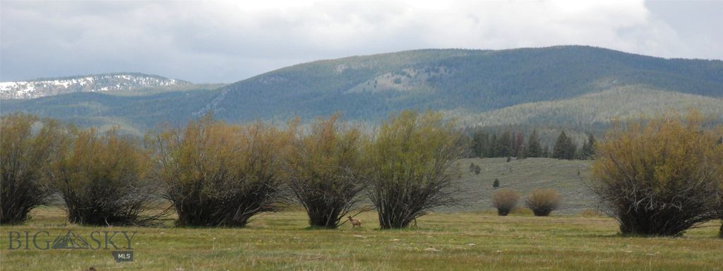 6800 Mussigbrod Lake Road, Wisdom, MT 59761 photo 48