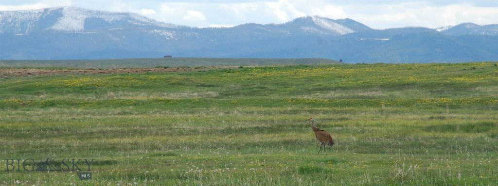 6800 Mussigbrod Lake Road, Wisdom, MT 59761 photo 75