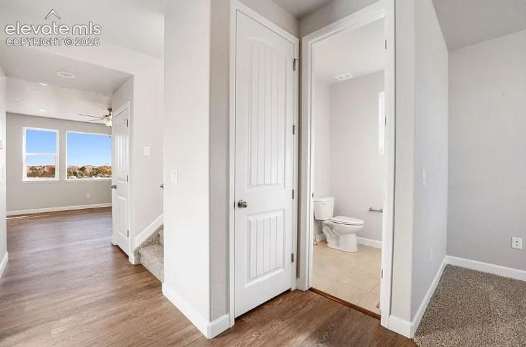 7201 Alpine Daisy Drive, Colorado Springs, CO 80925 — photo 2