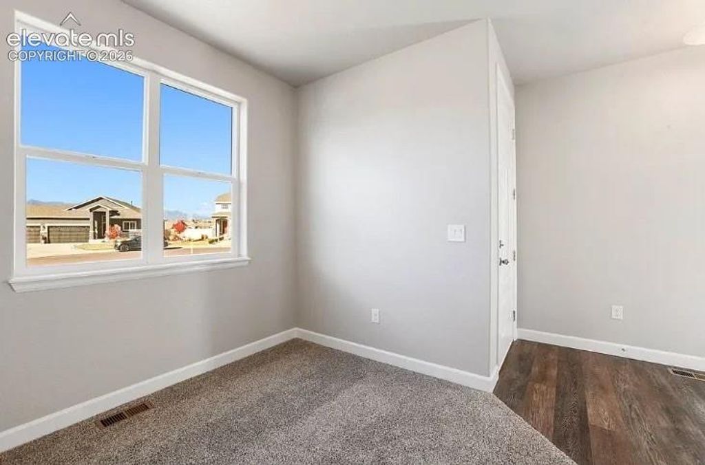 7201 Alpine Daisy Drive, Colorado Springs, CO 80925 — photo 4