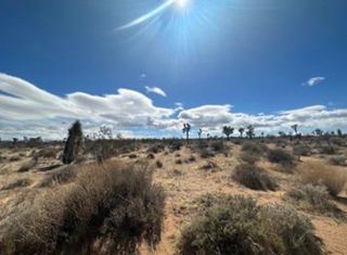 1 Sunny Sands, Yucca Valley, CA 92284